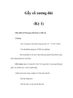 Gẫy cổ xương đùi (Kỳ 1) pot