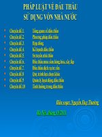 PHÁP LUẬT VỀ ĐẤU THẦU SỬ DỤNG VỐN NHÀ NƯỚC SỬ DỤNG VỐN NHÀ NƯỚC
