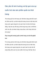 Các yếu tố ảnh hưởng và hệ quả của sự cuốn hút vào sản phẩm docx