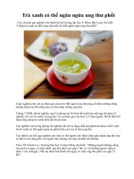 Trà xanh có thể ngăn ngừa ung thư phổi potx