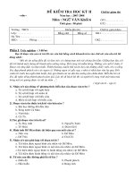 Đề thi HK2 môn ngữ văn 6