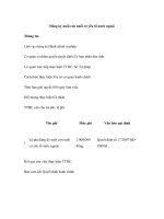 Đăng ký nuôi con nuôi có yếu tố nước ngoài doc