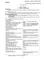 Giao an Lop 5 tuan 29