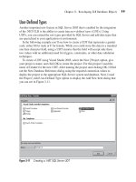 Microsoft SQL Server 2005 Developer’s Guide- P6 doc