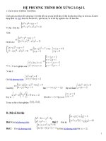 hệ pt đối xứng loại I