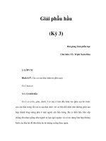 Giải phẫu hầu (Kỳ 3) potx