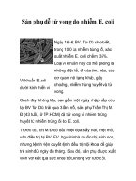 Sản phụ dễ tử vong do nhiễm E. coli pps