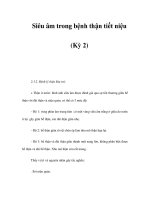 Siêu âm trong bệnh thận tiết niệu (Kỳ 2) doc