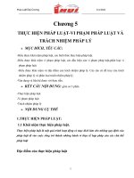 chương 5  thực hiện pháp luật - vi phạm pháp luật và trách nhiệm pháp luật