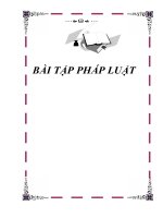 bài tập pháp luật