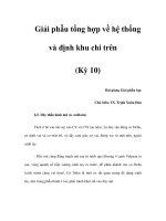 Giải phẫu tổng hợp về hệ thống và định khu chi trên (Kỳ 10) pdf