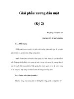 Giải phẫu xương đầu mặt (Kỳ 2) pot