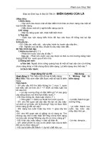 Bài 26 Sinh Sản Sinh Dưỡng