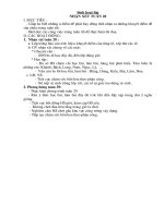 giao an TV tuan 29 B. 2 (mung)