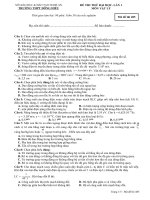 DE & DAP AN THI THU DH DONG HIEU