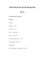 Chẩn đoán độ sâu của tổn thương bỏng (Kỳ 5) doc