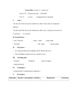 Giáo án Anh văn lớp 11 - Unit 15 - Lesson : Language Focus - grammar potx