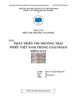 TIỂU LUẬN  THỊ TRƯỜNG TÀI CHÍNH  PHÁT TRIỂN THỊ TRƯỜNG TRÁI PHIẾU VIỆT NAM TRONG GIAI ĐOẠN HIỆN NAY