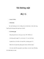 Sỏi đường mật (Kỳ 1) pps