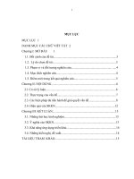 SKKN GIAI BAI TOAN QUANG HINH L9