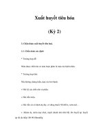 Xuất huyết tiêu hóa (Kỳ 2) ppt