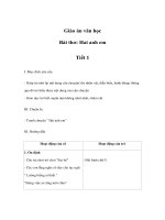 Giáo án văn học - Bài thơ: Hai anh em pdf