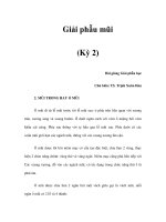 Giải phẫu mũi (Kỳ 2) ppt