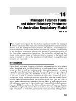 Commodity Trading Advisors: Risk, Performance Analysis, and Selection Chapter 14 potx
