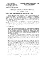 Kế hoạch giáo dục tiểu học pps