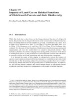 Springer Old Growth Forests - Chapter 19 pot