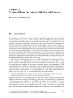 Springer Old Growth Forests - Chapter 17 potx