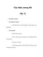 Gãy thân xương đùi (Kỳ 1) ppsx