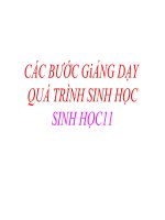 CÁC BƯỚC GiẢNG DẠY QUÁ TRÌNH SINH HỌC11 pps