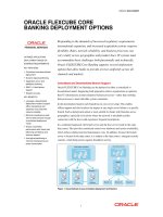 ORACLE FLEXCUBE CORE BANKING DEPLOYMENT OPTIONS doc