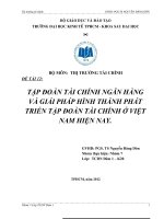 TẬP ĐOÀN TÀI CHÍNH NGÂN HÀNG VÀ GIẢI PHÁP HÌNH THÀNH PHÁT TRIỂN TẬP ĐOÀN TÀI CHÍNH Ở VIỆT NAM HIỆN NAY