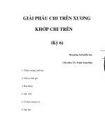 GIẢI PHẪU CHI TRÊN XƯƠNG KHỚP CHI TRÊN (Kỳ 6) ppt