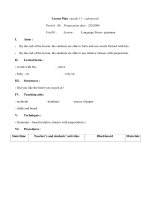 Giáo án Anh văn lớp 11 - Unit 10 - Period 86 pps