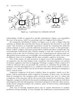 The Oxford Handbook of Cognitive Linguistics Part 13 ppt