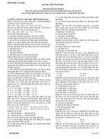DE THI THU DAI HOC 2010 + DAP AN