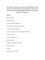 Cấp bằng Máy trưởng hạng Ba (Trường hợp có bằng tốt nghiệp hệ trung cấp nghề, trung cấp chuyên nghiệp chuyên ngành điều khiển tàu thủy do trường Cao đẳng Giao thông vận tải thành phố Hồ Chí Minh cấp và hoàn thành thời gian tập sự đủ 6 tháng trở lên) pps