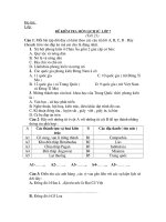 Đề kiểm tra sử 7