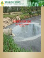 oi nhiem moi truong nuoc pptx