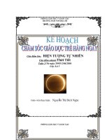 10bia GA cuc vip.truong MN hoa mi