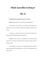 Thuốc nam điều trị bỏng tt (Kỳ 2) pdf