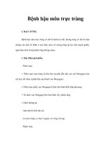 Bệnh hậu môn trực tràng docx