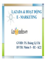 Lazada và hoạt động E  marketing