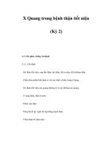 X Quang trong bệnh thận tiết niệu (Kỳ 2) pptx