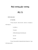 Đại cương gãy xương (Kỳ 2) potx