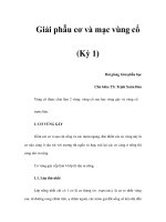 Giải phẫu cơ và mạc vùng cổ (Kỳ 1) pps