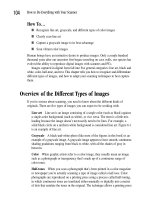 How to Do Everything With Your Scanner- P25 potx